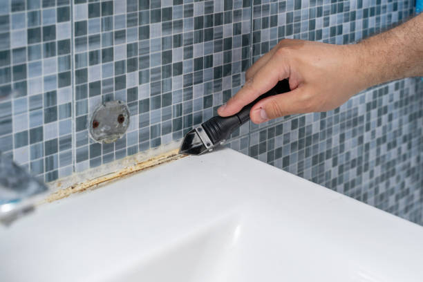 Mold Removal and Inspection in Cairo, NE