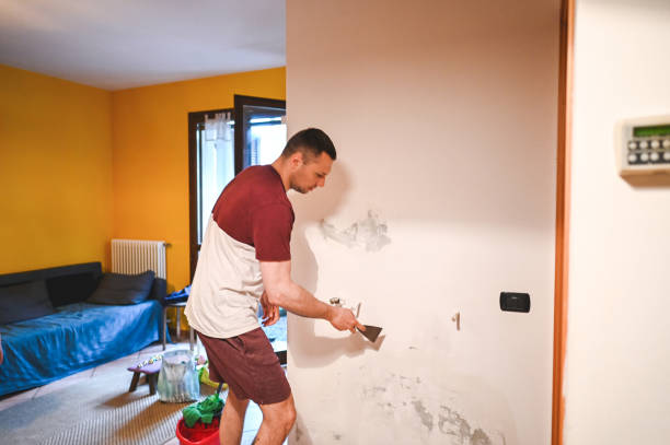 Best Professional Mold Removal  in Cairo, NE
