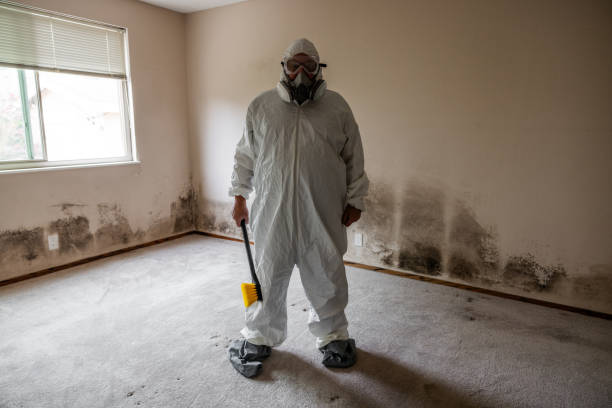 Best Attic Mold Removal  in Cairo, NE